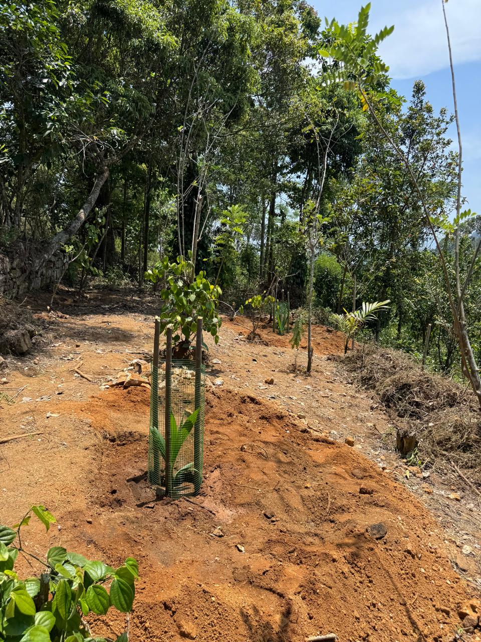 Local community support event by Ceylon Premium Stones